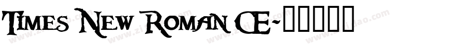 Times New Roman CE字体转换